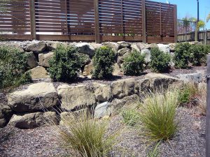 Random Grade—Australian Rock Walls in Burleigh Heads, QLD